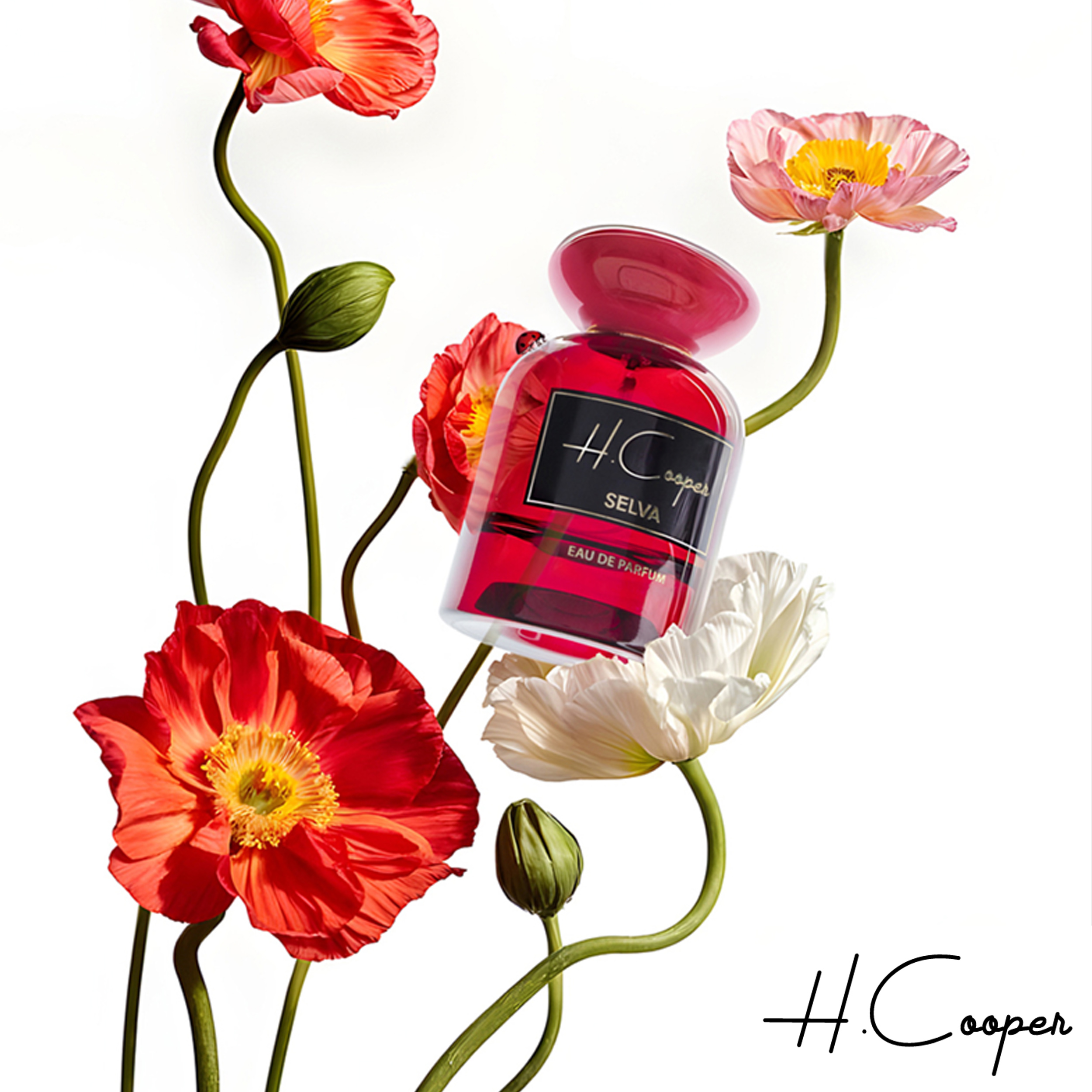 درباره H Cooper
